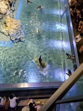 すみだ水族館に投稿された画像（2020/8/12）