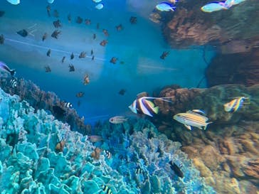 サンシャイン水族館に投稿された画像（2020/8/12）
