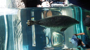 旭川市旭山動物園に投稿された画像（2020/8/12）