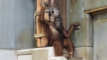 旭川市旭山動物園に投稿された画像（2020/8/12）