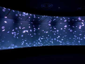 サンシャイン水族館に投稿された画像（2020/8/12）