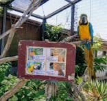 アロハガーデンたてやまに投稿された画像（2020/8/13）