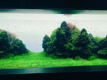 すみだ水族館に投稿された画像（2020/8/12）