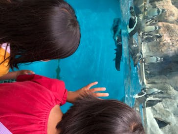 鳥羽水族館に投稿された画像（2020/8/12）