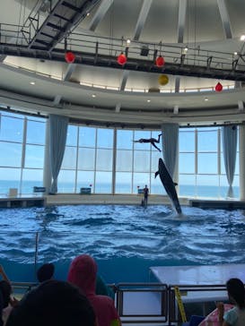アクアワールド茨城県大洗水族館に投稿された画像（2020/8/12）