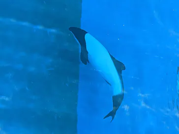 仙台うみの杜水族館に投稿された画像（2020/8/12）