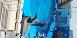 仙台うみの杜水族館に投稿された画像（2020/8/13）