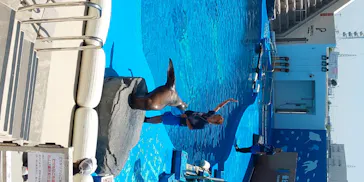 仙台うみの杜水族館に投稿された画像（2020/8/13）