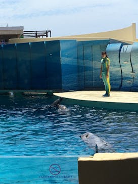 新江ノ島水族館に投稿された画像（2020/8/13）