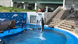 仙台うみの杜水族館に投稿された画像（2020/8/13）