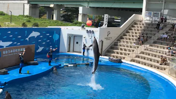 仙台うみの杜水族館に投稿された画像（2020/8/13）