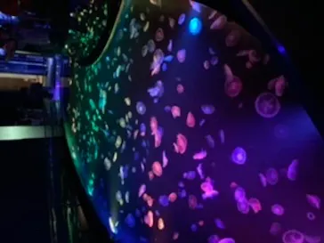 すみだ水族館に投稿された画像（2020/8/13）