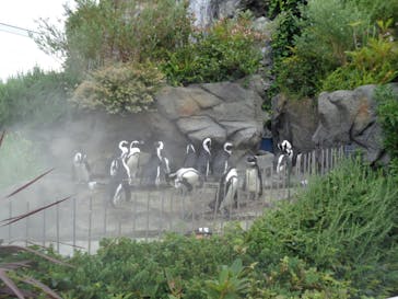 サンシャイン水族館に投稿された画像（2020/8/13）