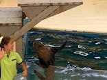 鳥羽水族館に投稿された画像（2020/8/13）