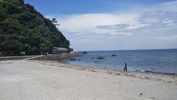 ゼロ距離水族館 伊勢シーパラダイスに投稿された画像（2020/8/13）