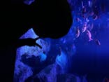 すみだ水族館に投稿された画像（2020/8/13）