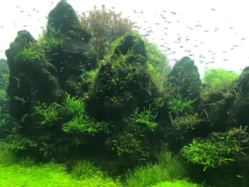 すみだ水族館に投稿された画像（2020/8/13）