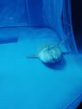 アクアワールド茨城県大洗水族館に投稿された画像（2020/8/13）