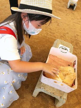 成田ゆめ牧場に投稿された画像（2020/8/13）