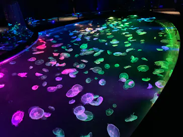 すみだ水族館に投稿された画像（2020/8/13）