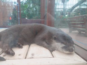 ゼロ距離水族館 伊勢シーパラダイスに投稿された画像（2020/8/13）