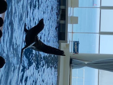 アクアワールド茨城県大洗水族館に投稿された画像（2020/8/13）