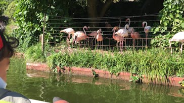 伊豆シャボテン動物公園に投稿された画像（2020/8/13）