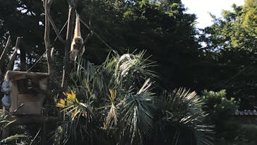 伊豆シャボテン動物公園に投稿された画像（2020/8/13）