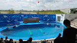 仙台うみの杜水族館に投稿された画像（2020/8/13）