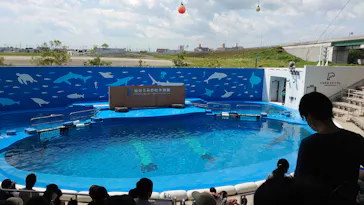 仙台うみの杜水族館に投稿された画像（2020/8/13）