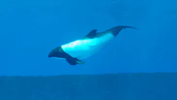仙台うみの杜水族館に投稿された画像（2020/8/13）