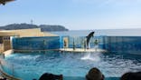 新江ノ島水族館に投稿された画像（2020/8/13）