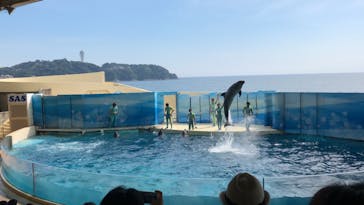 新江ノ島水族館に投稿された画像（2020/8/13）