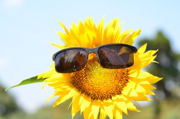 成田ゆめ牧場に投稿された画像（2020/8/13）