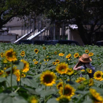 成田ゆめ牧場に投稿された画像（2020/8/13）