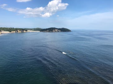 松島熱気球・パラグライダー体験に投稿された画像（2020/8/13）