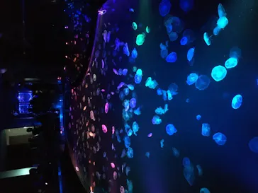 すみだ水族館に投稿された画像（2020/8/13）