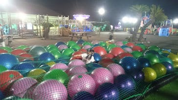 伊豆ぐらんぱる公園に投稿された画像（2020/8/13）