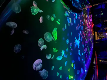 すみだ水族館に投稿された画像（2020/8/13）