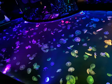 すみだ水族館に投稿された画像（2020/8/13）