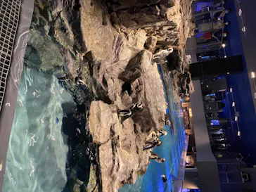 すみだ水族館に投稿された画像（2020/8/13）