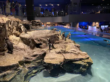 すみだ水族館に投稿された画像（2020/8/13）