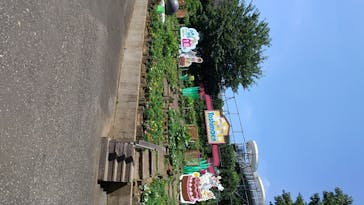 としまえんに投稿された画像（2020/8/13）