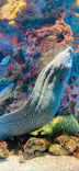 仙台うみの杜水族館に投稿された画像（2020/8/13）