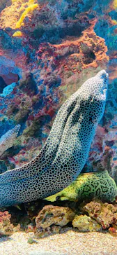 仙台うみの杜水族館に投稿された画像（2020/8/13）