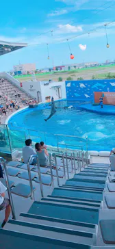 仙台うみの杜水族館に投稿された画像（2020/8/13）