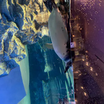 すみだ水族館に投稿された画像（2020/8/13）