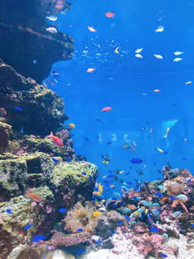 仙台うみの杜水族館に投稿された画像（2020/8/13）