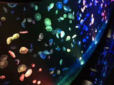 すみだ水族館に投稿された画像（2020/8/13）