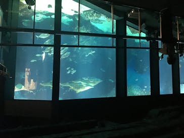 マリンワールド海の中道に投稿された画像（2020/8/13）